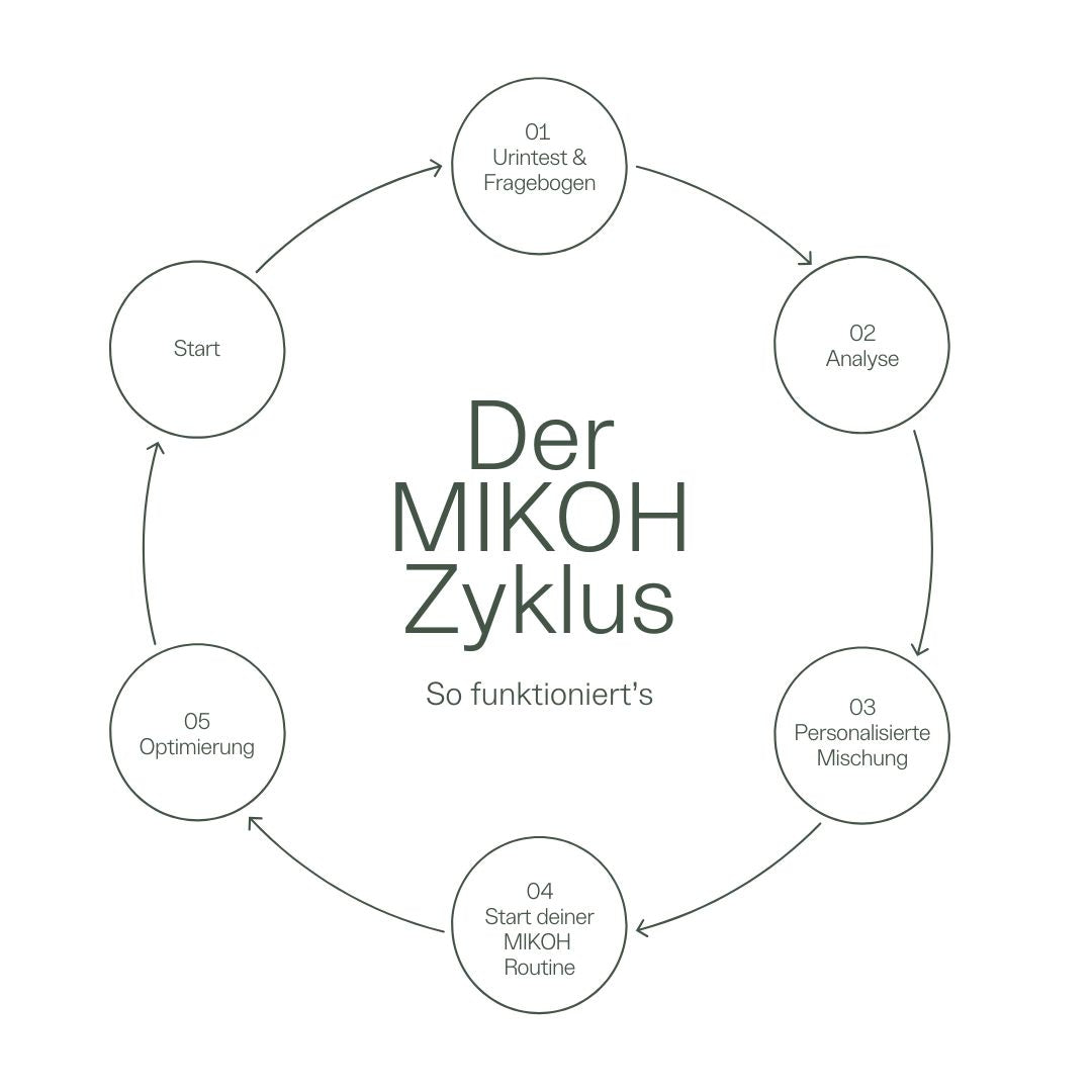 Personalisierte Mikronährstoffe – inkl. Laboranalyse & Fragebogen