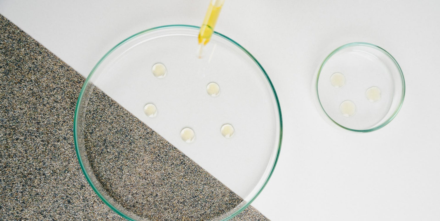 Mehr Energie, weniger Müdigkeit – was dein Urin über deinen Stoffwechsel verrät