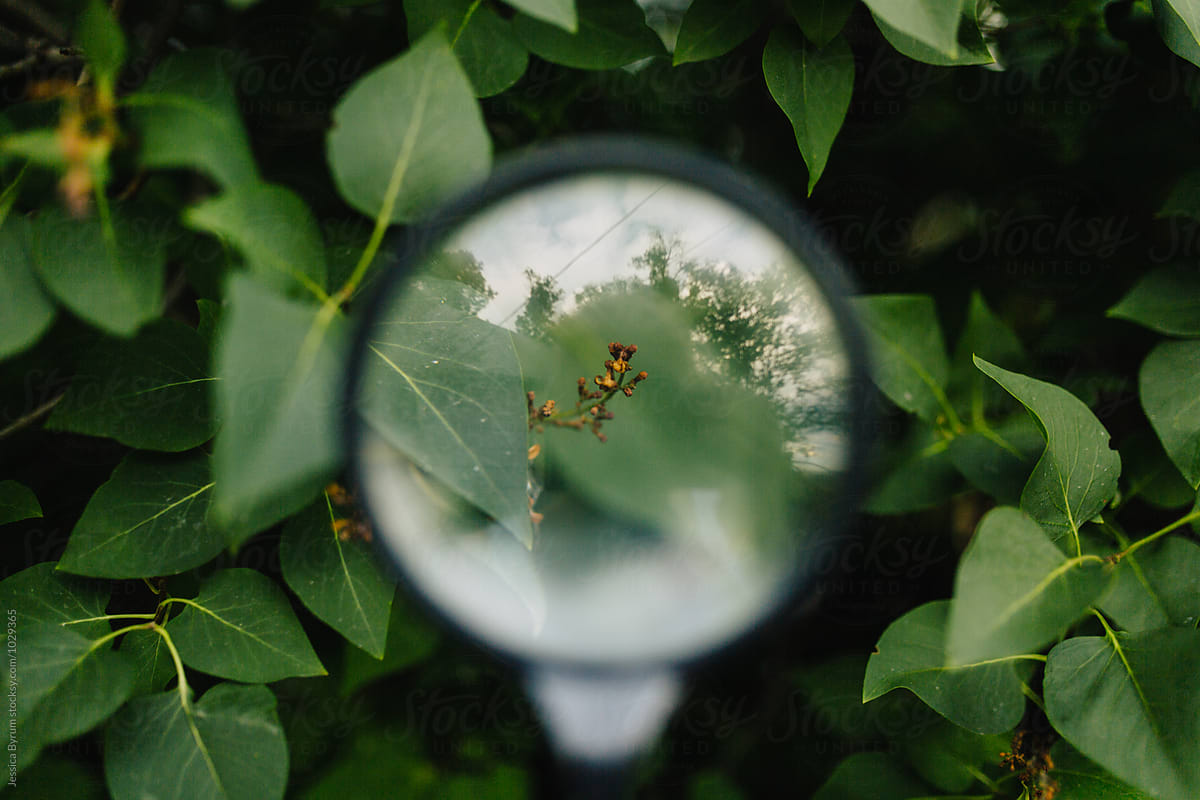 Autophagie: Der natürliche Reinigungsprozess deines Körpers